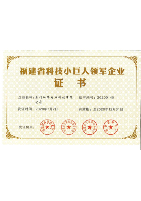 福建省科技小巨人領軍企業(yè)證書