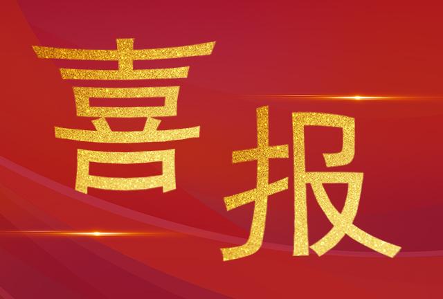 喜報|我司技術服務部工程師們榮獲“電力運檢之星“