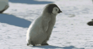 河南任性直降13℃！速凍模式已開啟！